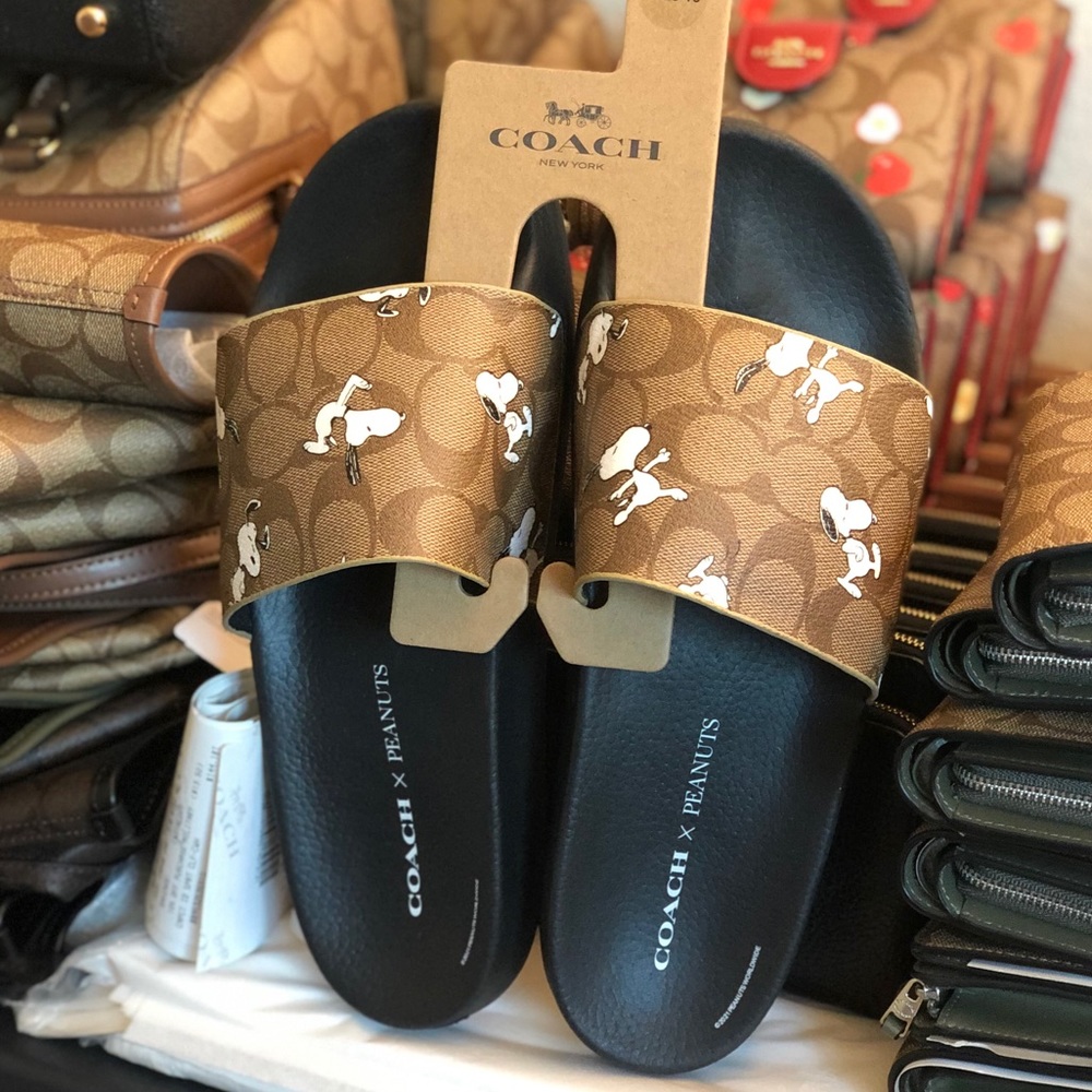 NWT! Coach X Peanuts Slide With Snoopy Print